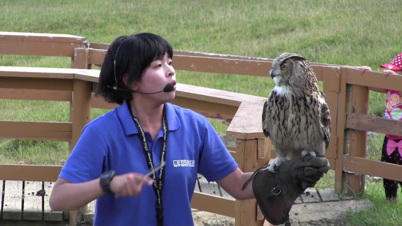 69【HD】那須動物王国　バードパフォーマンス