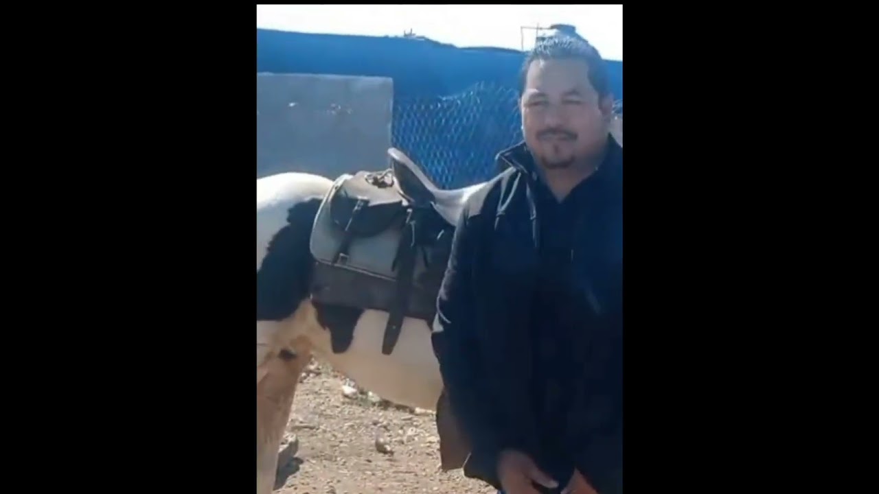 Amanzador o domador de caballos  Angel Tello 