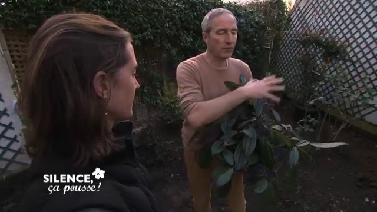 Pas de panique: Votre jardin devient un havre de paix