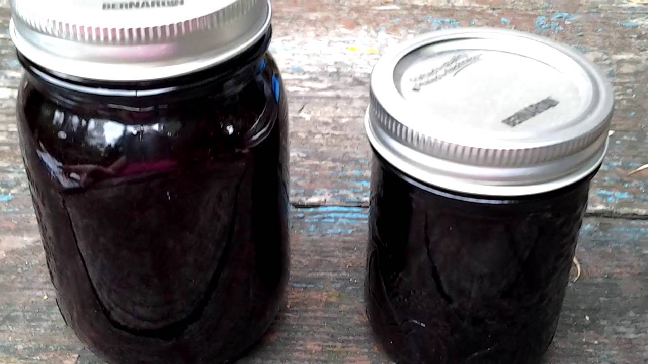 Pomona's Universal Pectin Review