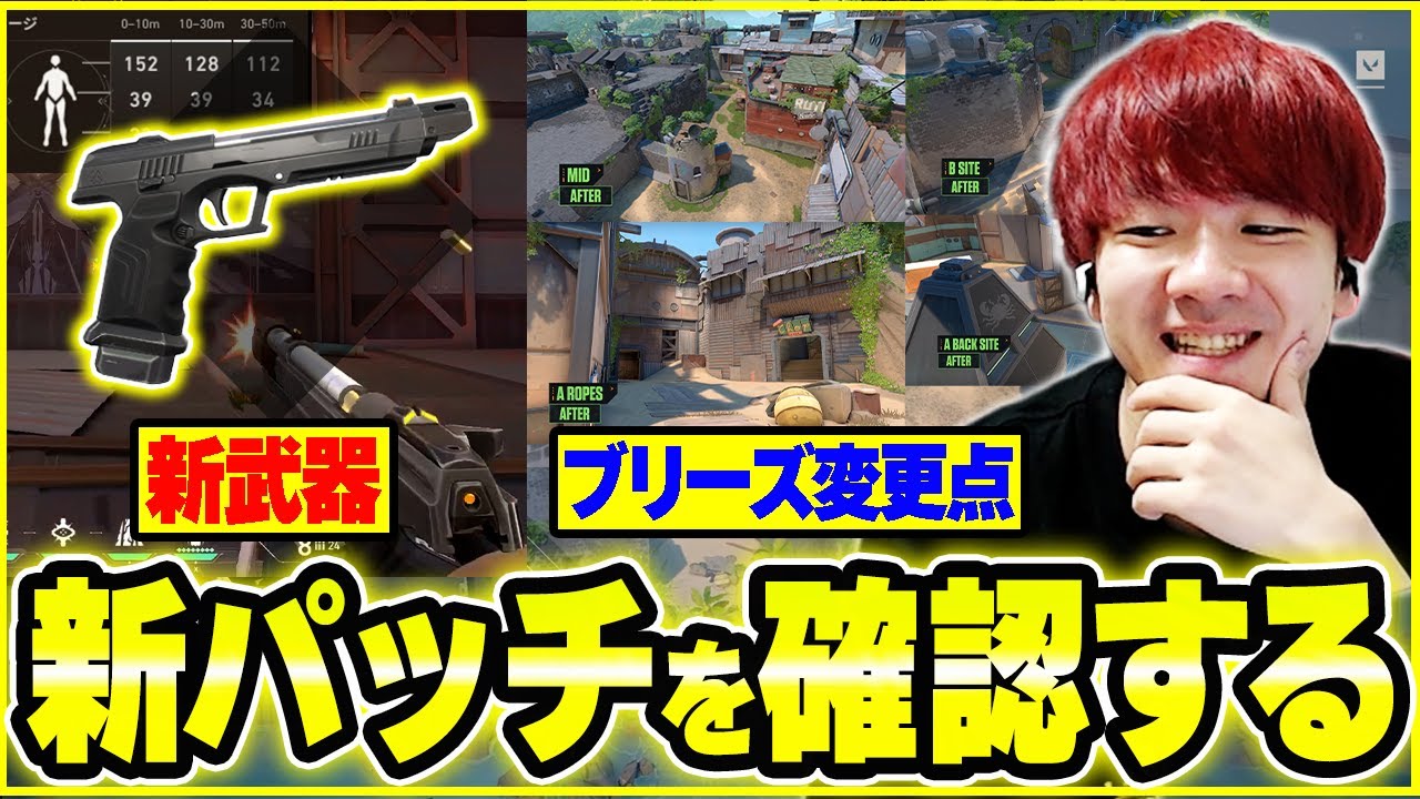 【新パッチ】新武器バンディットやブリーズの変更点を確認するBiju 【ムラッシュゲーミング】
