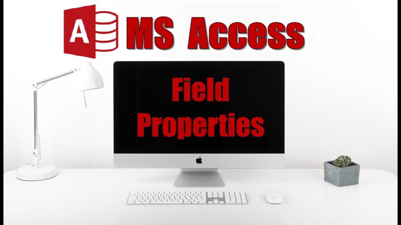 What's The BEST Way to Manage Field Properties in MS Access