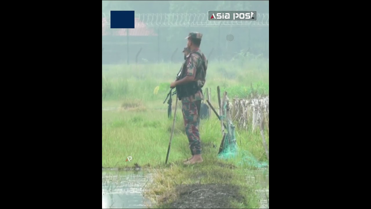 সীমান্তে বিএসএফের পুশইনের চেষ্টা, মাঠের মধ্যেই থাকছেন অনুপ্রবেশকারীরা #bsf #indianborder #panchagarh