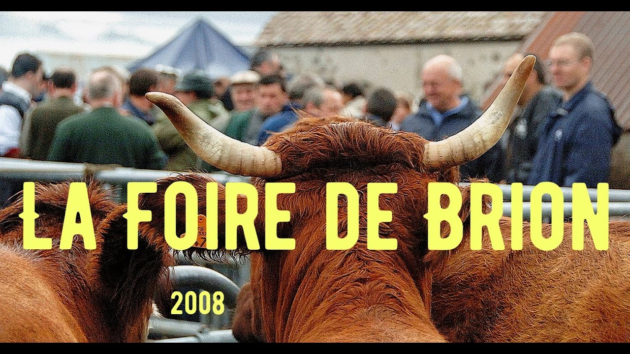 La Foire de Brion.
