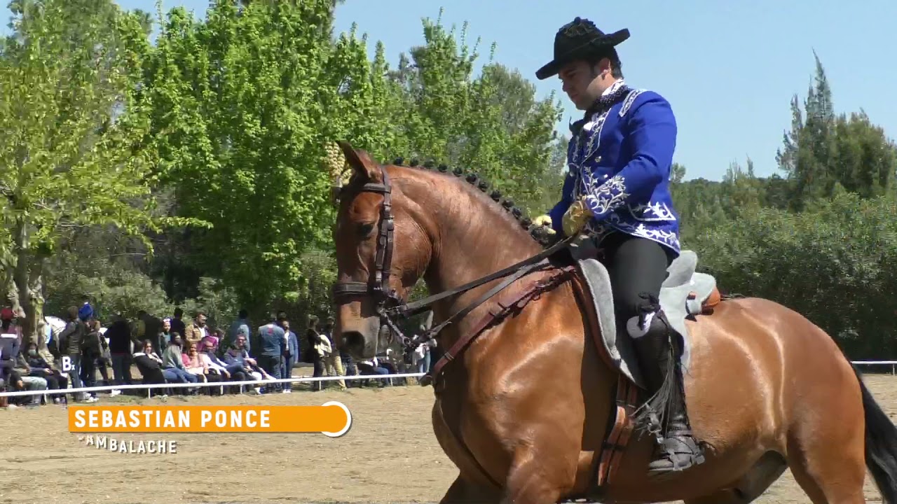 Liga de Doma Alta Escuela FHCV, 18 Abril 2021, 2 parte.mp4