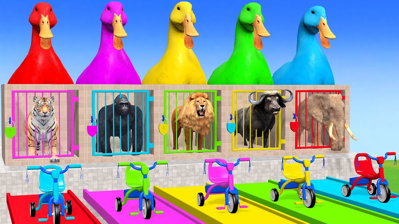 Long Slide Game With Elephant Gorilla Buffalo Hippopotamus Tiger 3d Animal Game Funny 3d Animals