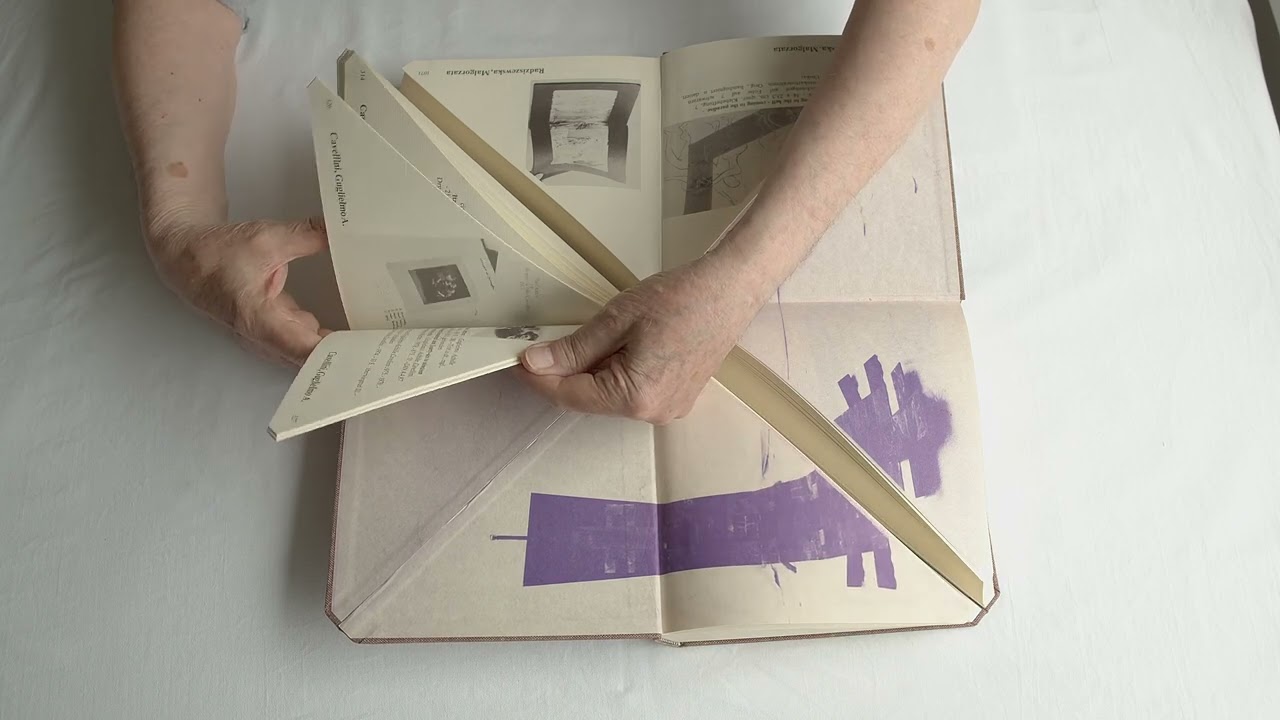 Short Doc - Rod Summers - by Charlotte Lagro