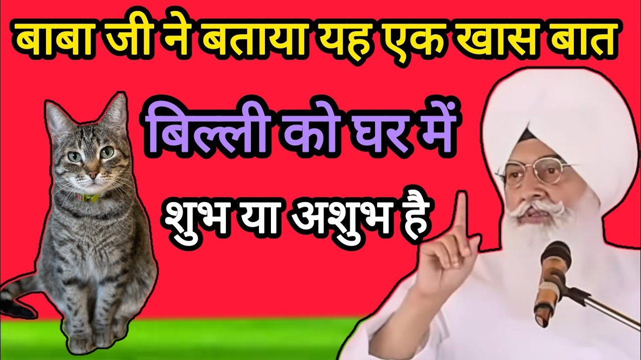 बाबा जी ने बताया यह एक खास बात बिल्ली को घर में शुभ या अशुभ ll Radha Soami Sakhi ll RSSB sakhi ll 