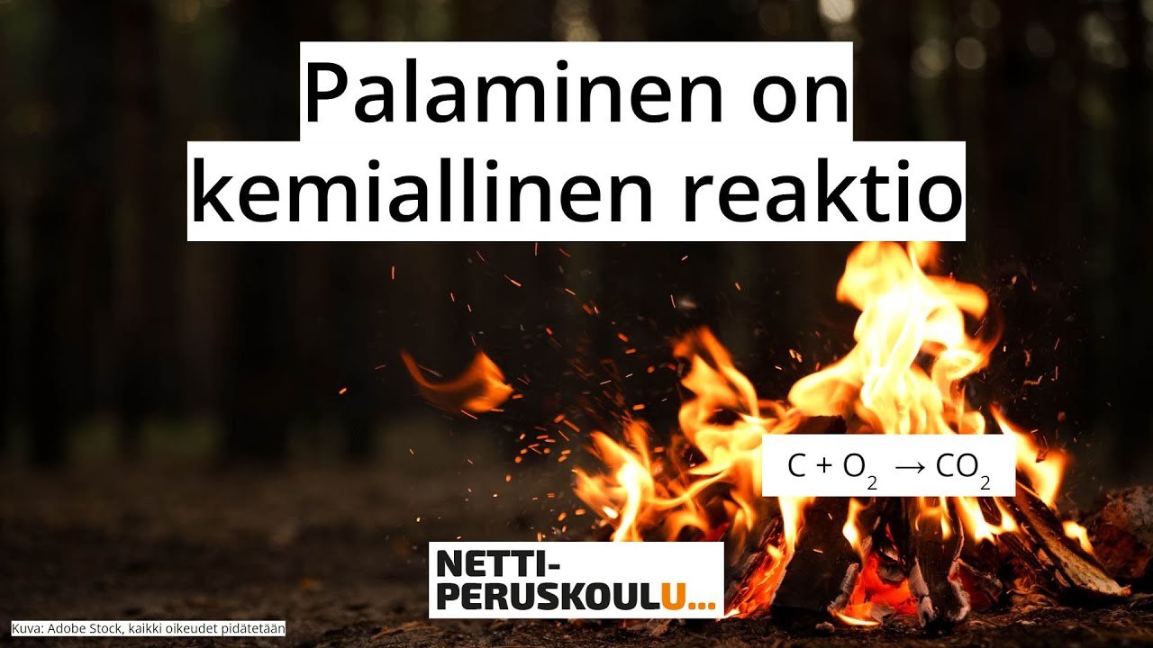 ayl2: Palaminen on kemiallinen reaktio (perusopetus)