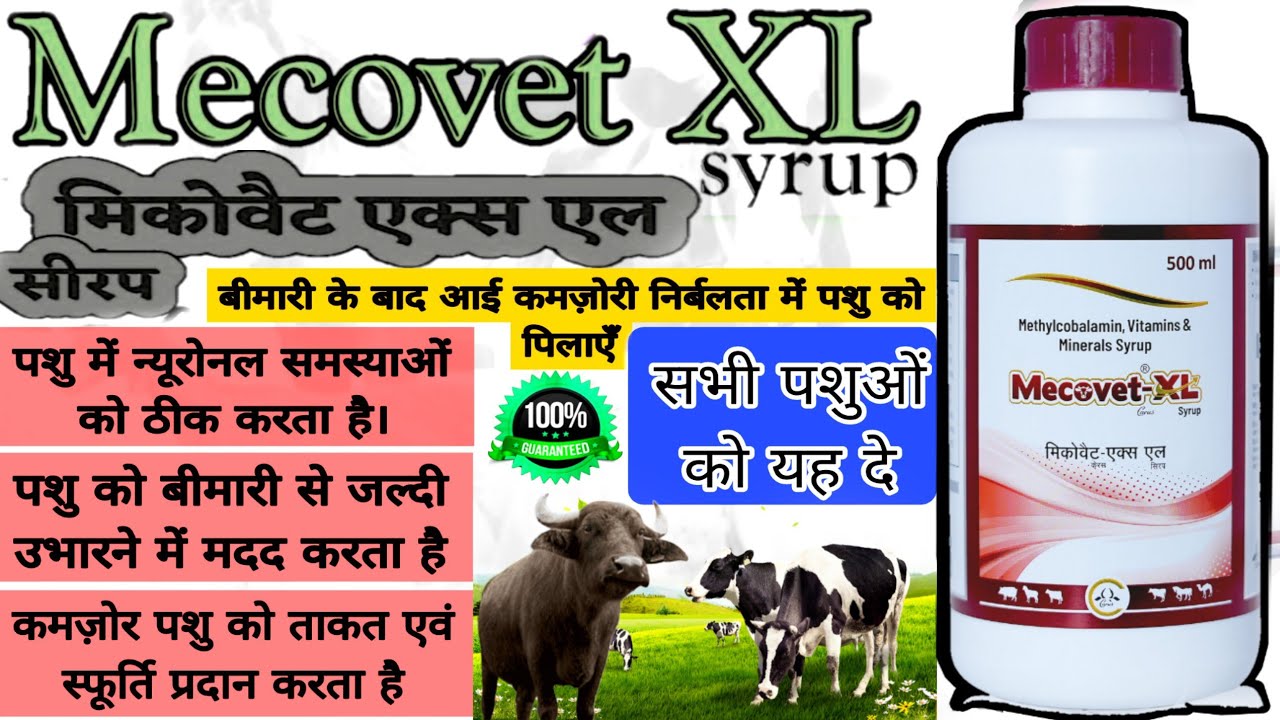बैठे पशुओं को खड़ा करने वाला टॉनिक||Mecovet-XL Syrup/Methylcobalamin, Vitamins &Minerals Kab kase de