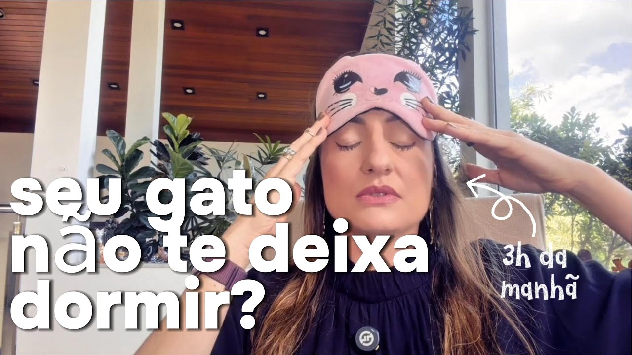 Como fazer seu gato parar de miar de madrugada (sem precisar levantar da cama)