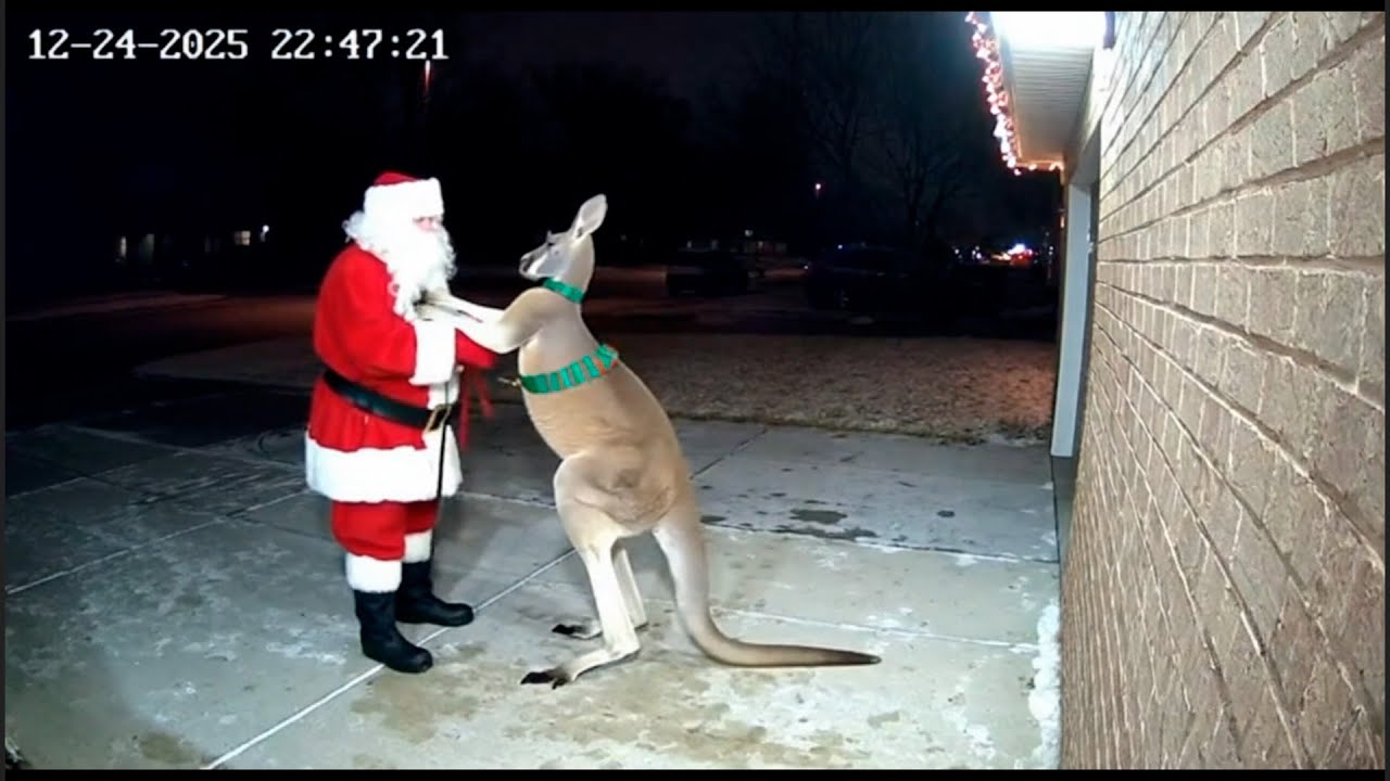 🎅CCTV Camera Caught: Santa Claus Gets Caught on Camera Doing THIS!  Part 2