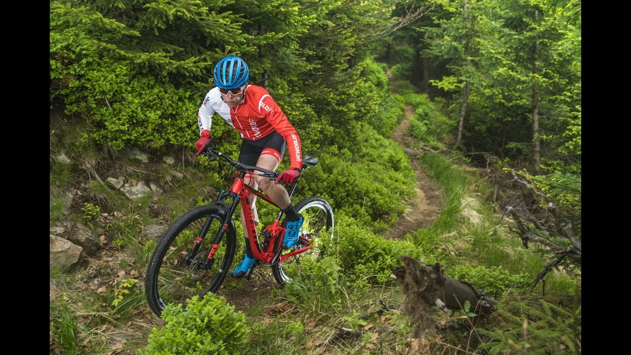 Test: Giant Anthem 29er 2 (2018)