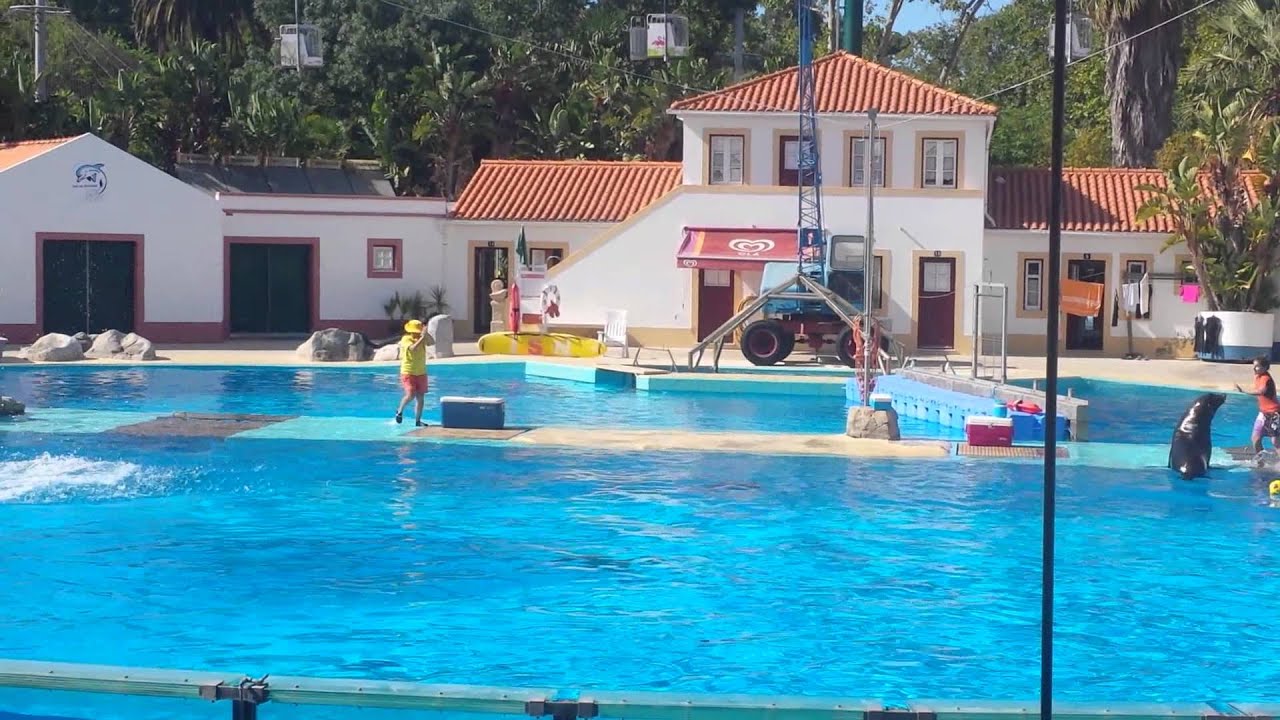 Baía dos golfinhos-jardim zoológico de lisboa 2013