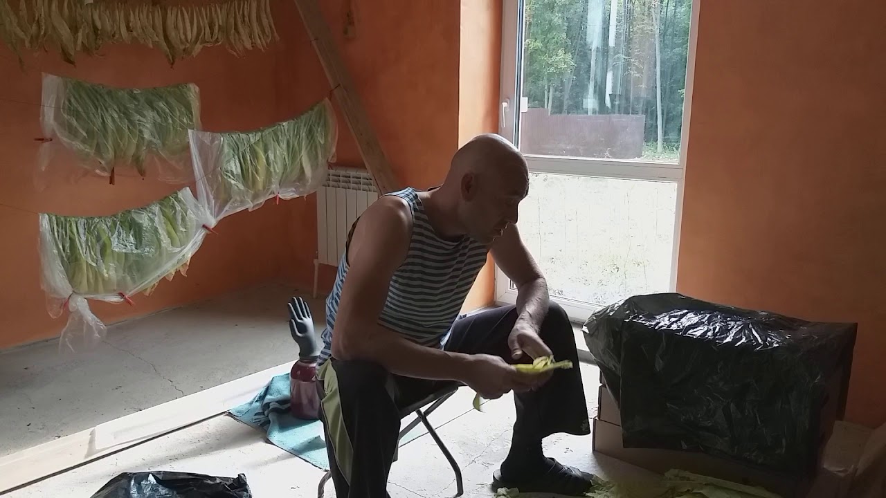 Томление(выжелчивание)табачного листа в домашних условиях!