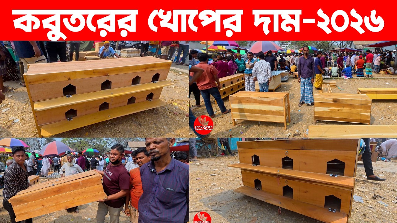 কবুতরের খোপের দাম || Pakhir Khacha Dam || Bird Cage || Putia hat Narsindi