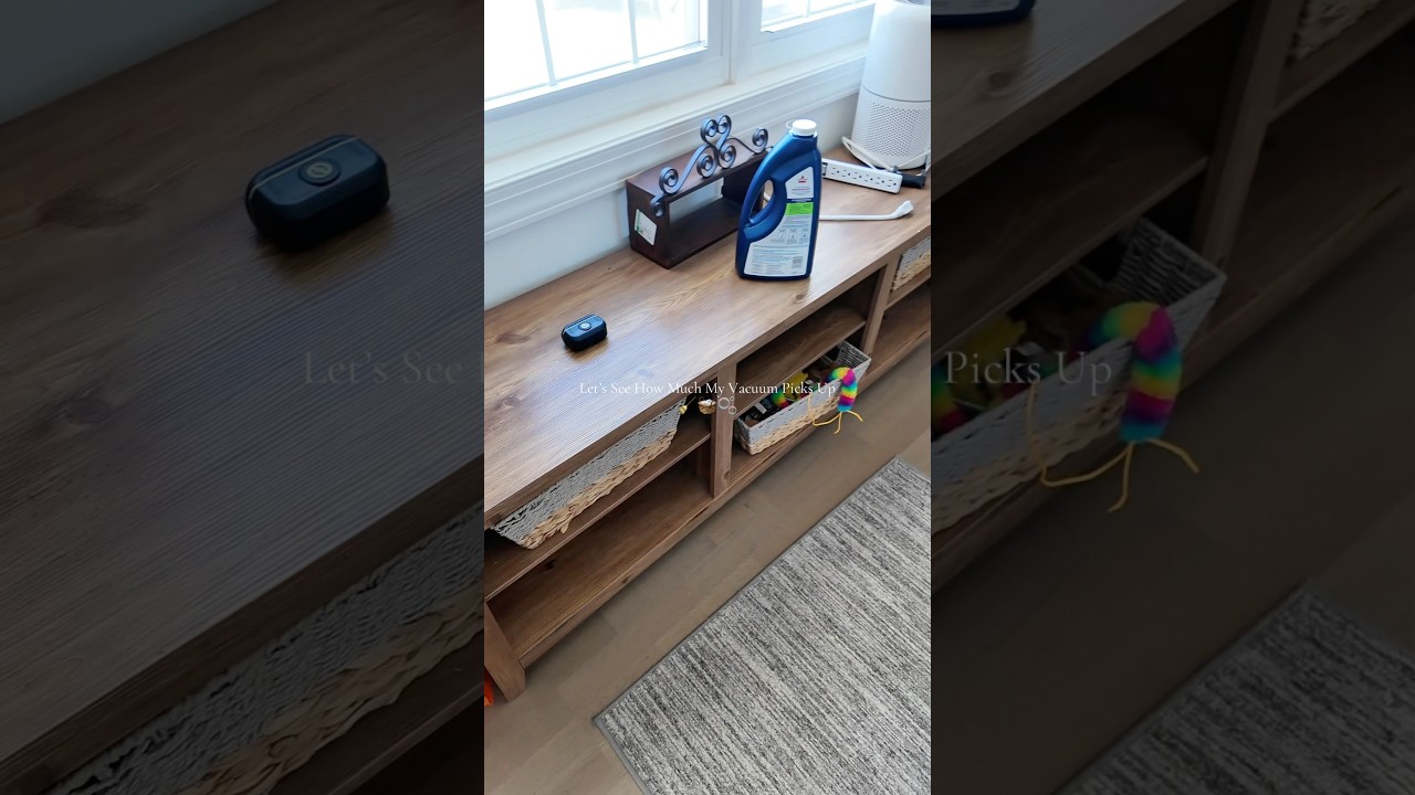 How Much Dust and Hair Will Collect From Vacuuming Whole House!?