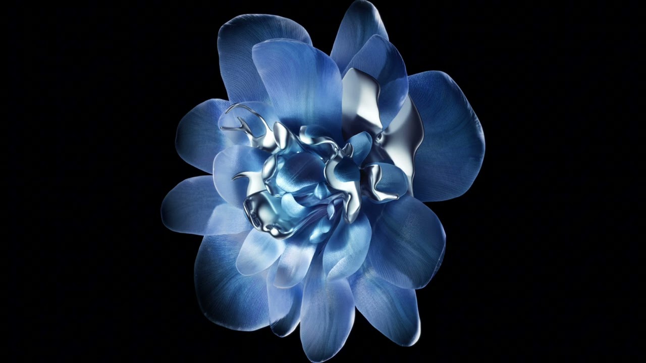 Quxiq wallpaper 14