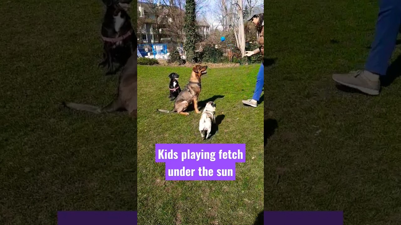 GOOD TIME Max Parker ft Jacob the Pug and friends 