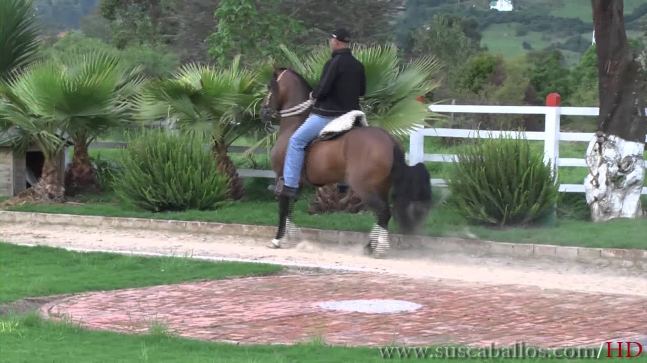 PRODIGIO DE MARIA ROSA CON EL SE&Ntilde;OR GUSTAVO ORTIZ.mp4