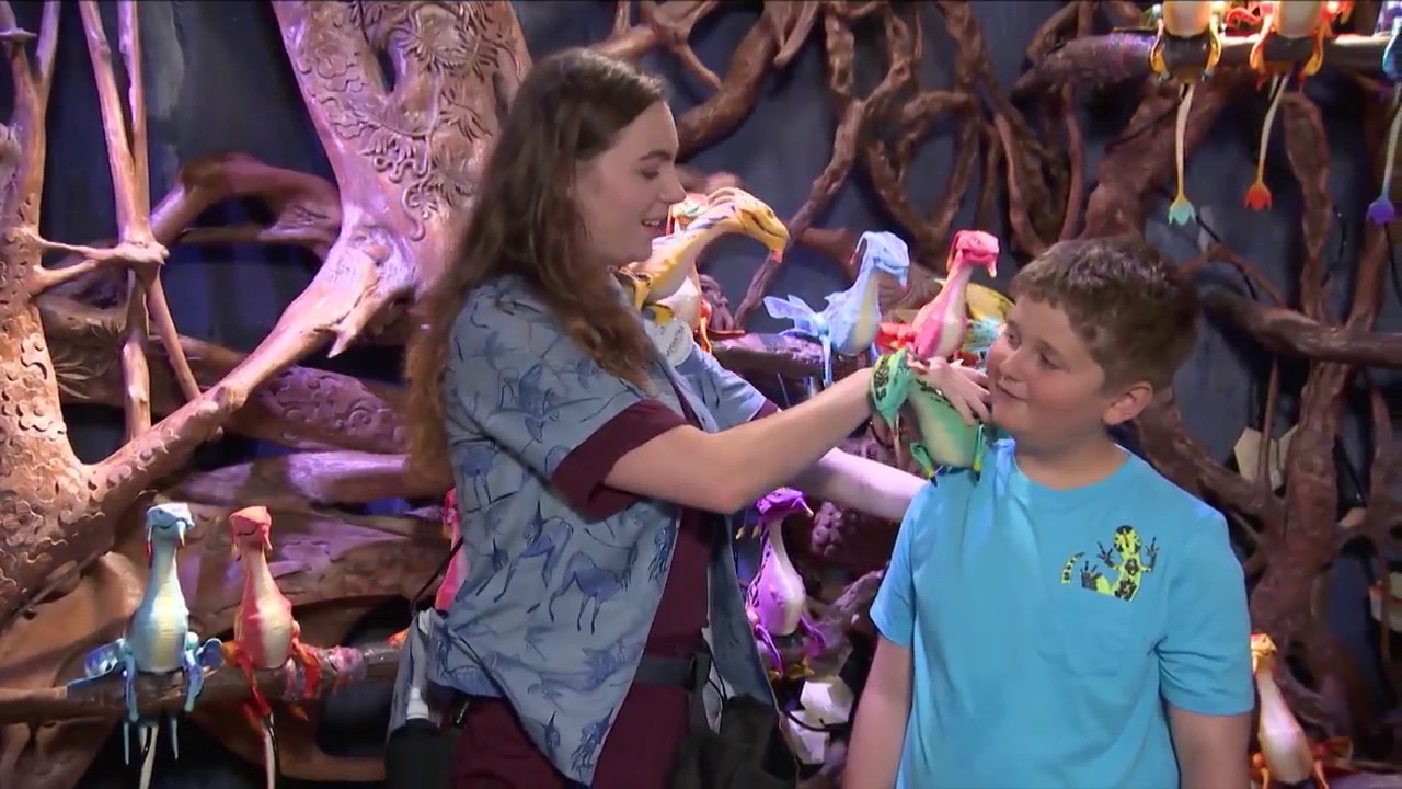 #DisneyParksLIVE: Pandora &ndash; The World of Avatar Dedication | Walt Disney World