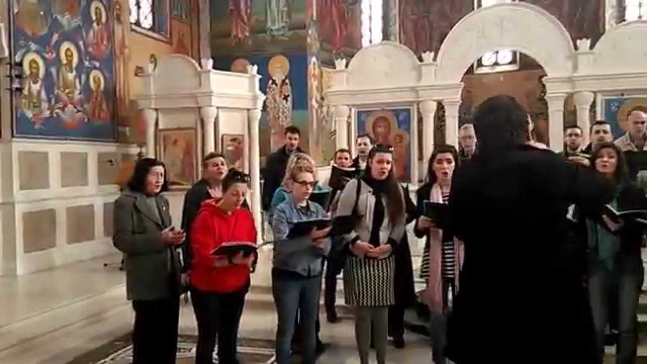 ,,Достојно јест