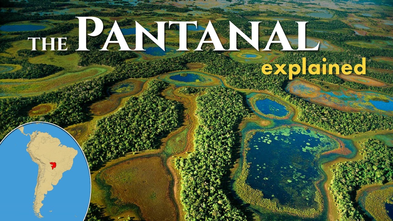 The Pantanal Wetlands explained
