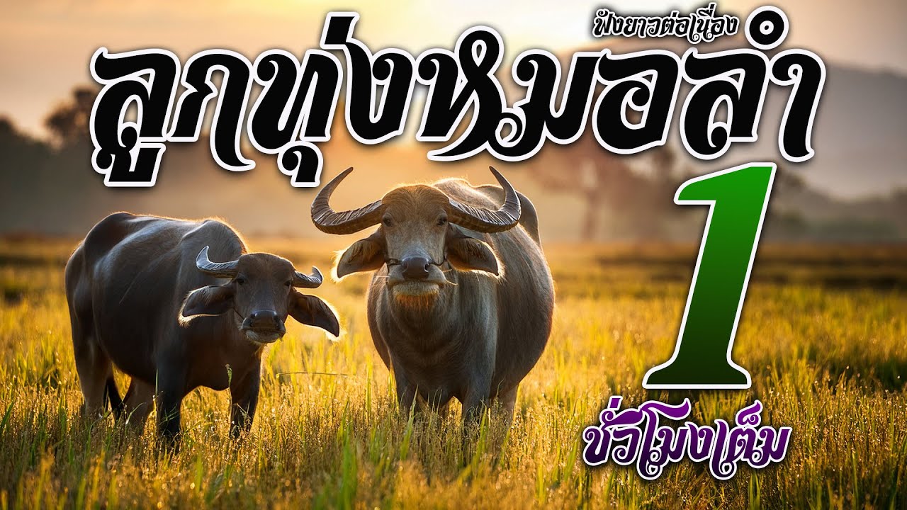 ลูกทุ่งหมอลำ ฟังยาวต่อเนื่อง 1 ชั่วโมง