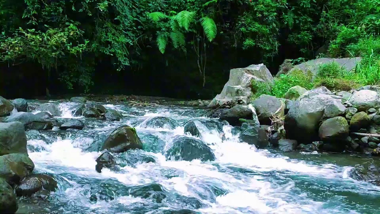 Soft Water River Sounds  Natural Relaxation  Sleep Therapy