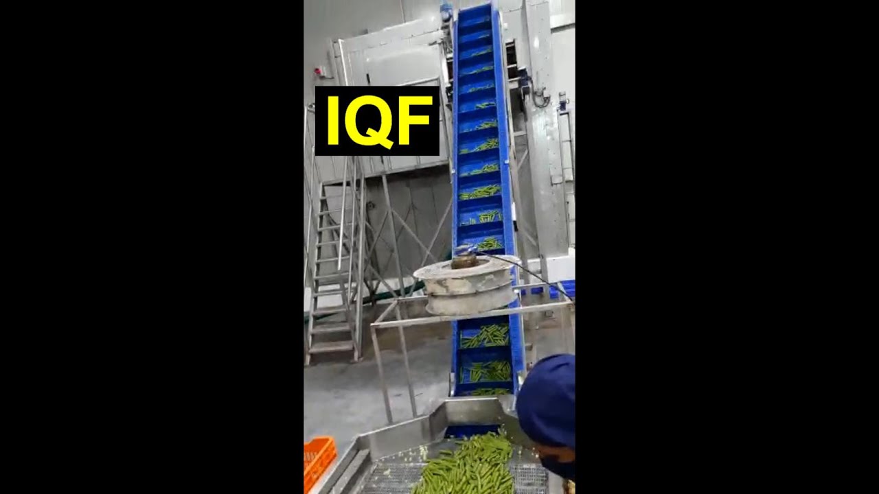iqf | iqf machine | iqf freezer | iqf technology | iqf fruit processing 