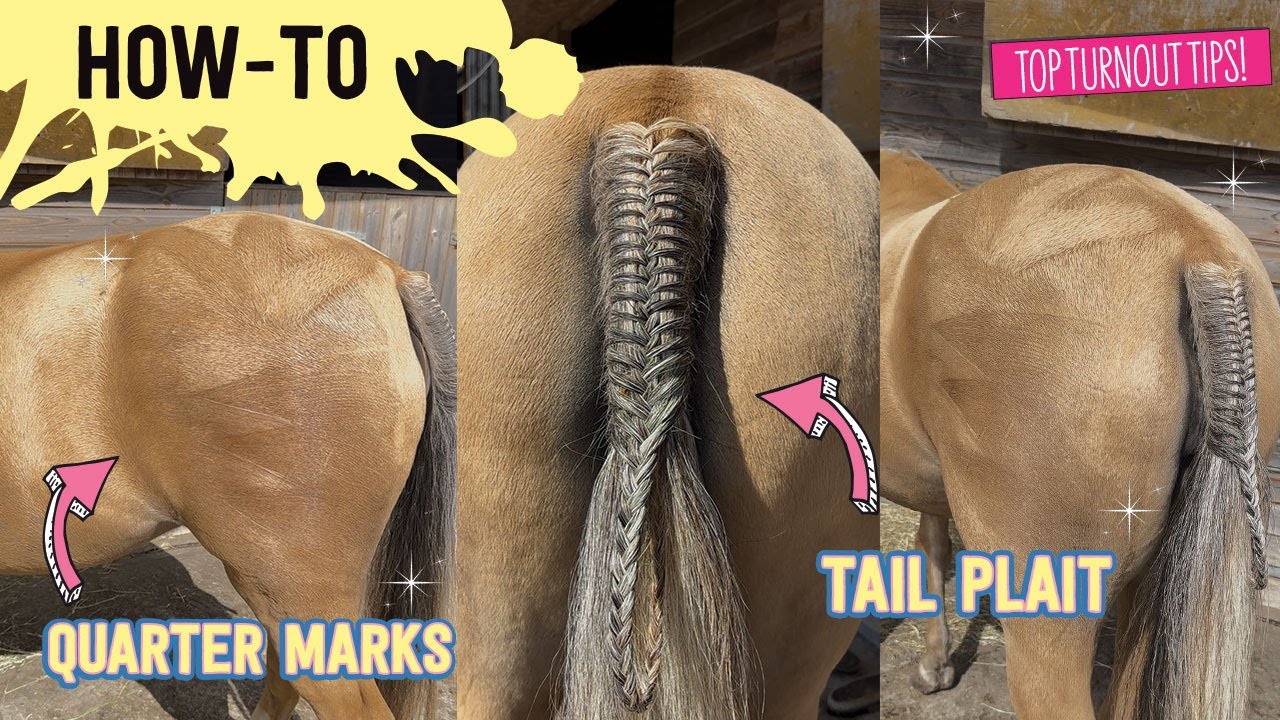 How-to plait a pony's tail and create the perfect quarter marks!🎀✨