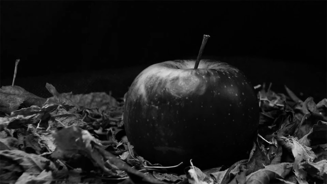 Alice In Chains - Rotten Apple (Slowed and Reverb)