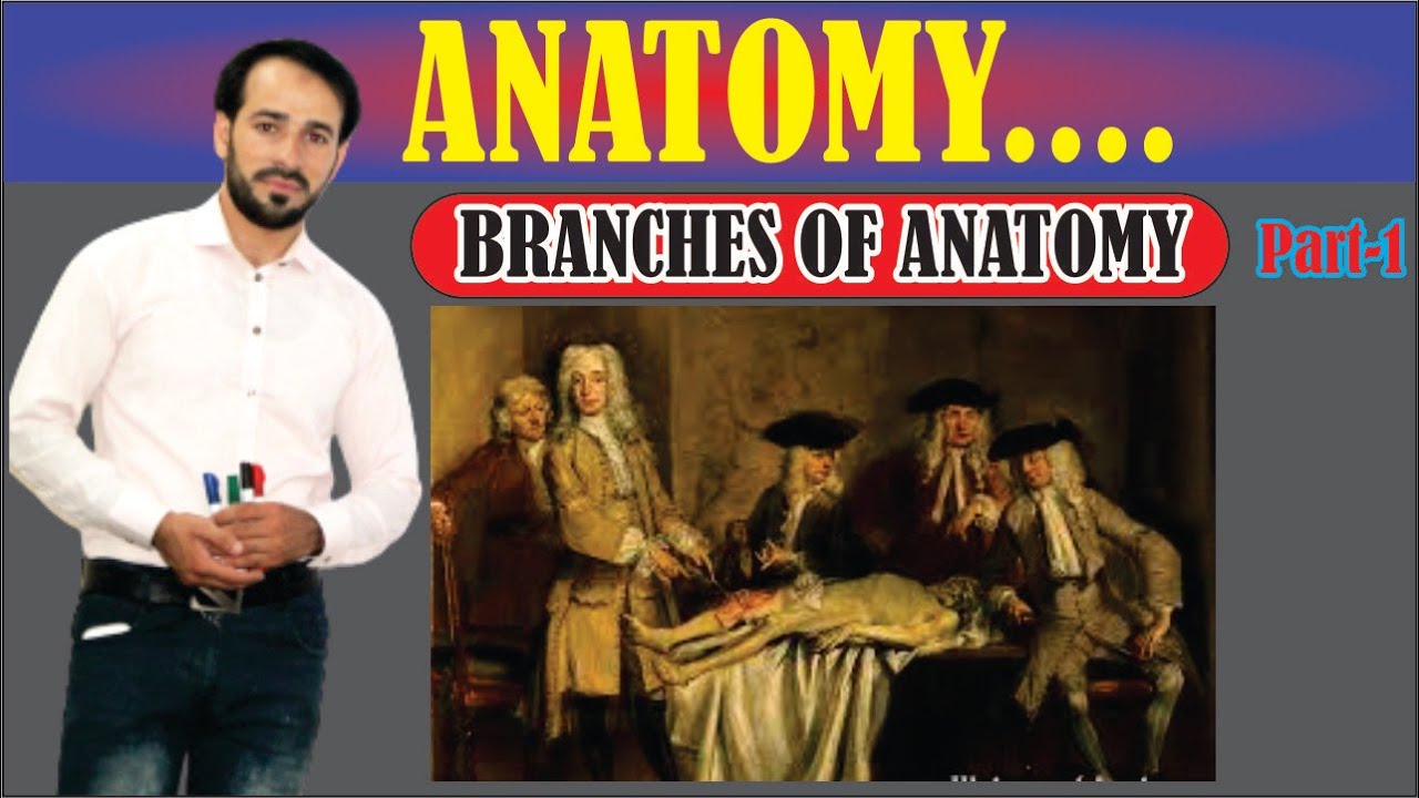 What the branches of Anatomy | Introduction of Anatomy | Learn Conceptually | Part-1