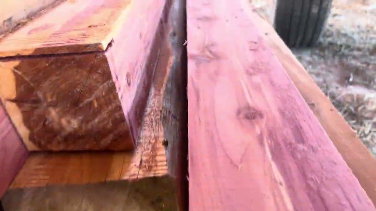 Грегу предстоит распилить немало кедровых бревен с помощью станка Wood Mizer LT40.