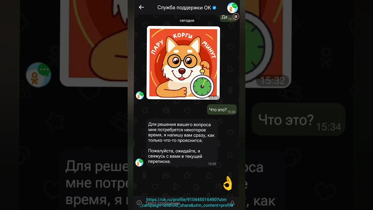 @mailruvideomailru