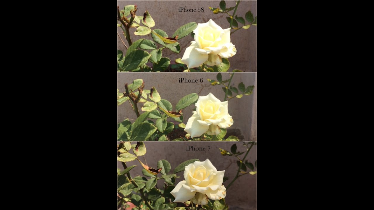iPhone 7 vs 6 vs 5S Camera comparison