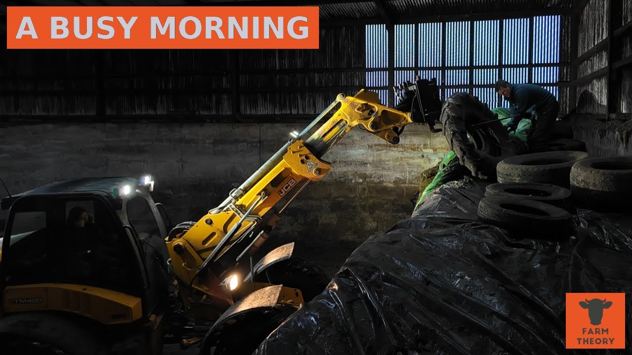 Моя зимняя рутина на ФЕРМЕ! | ПЕРВЫЙ УРОЖАЙ почти ВЕСЬ РАСПРОДАЖЕН!