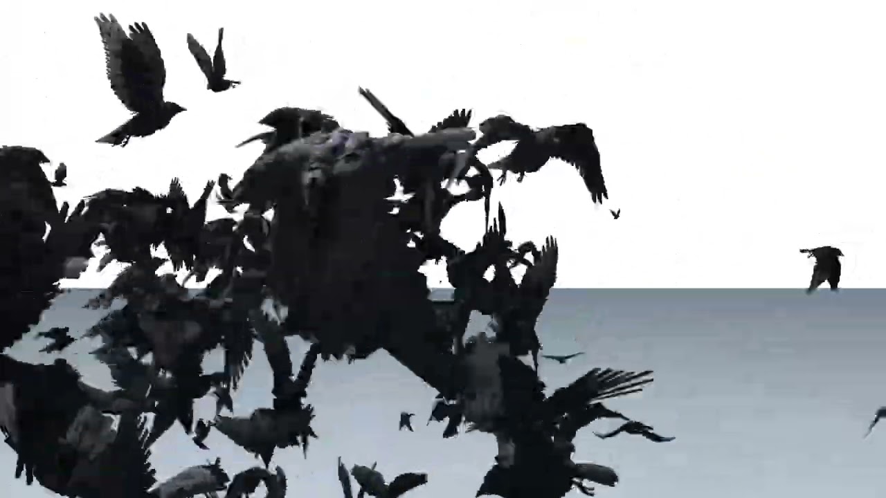 TouchDesigner - 化作鸟吧