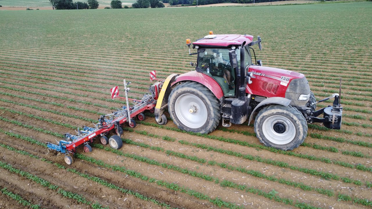 BINAGE XXL / SARL Miélan / Case IH puma 150 et sa Bineuse 13 rangs Hatzenbichler phœnix