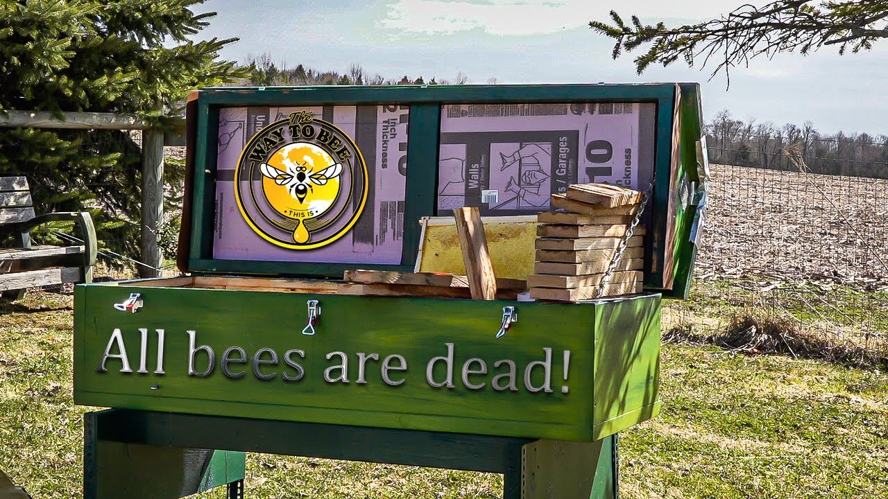 Long Langstroth Horizontal Bee Hive, Dead Out, Evaluation of Missing Queen and varroa load.