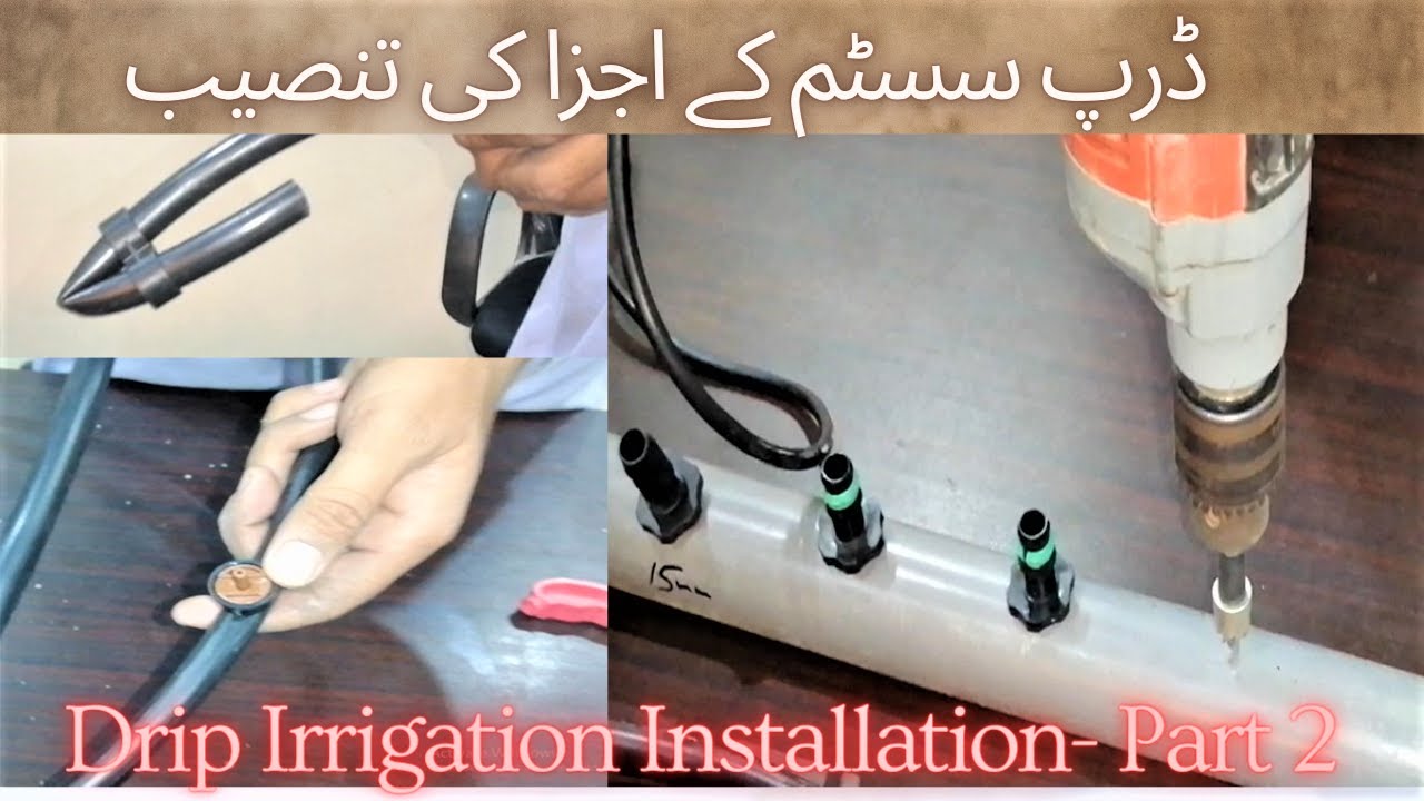 Installation of Drip Irrigation Components. Part 2 | ڈرپ ایریگیشن کی تنصیب