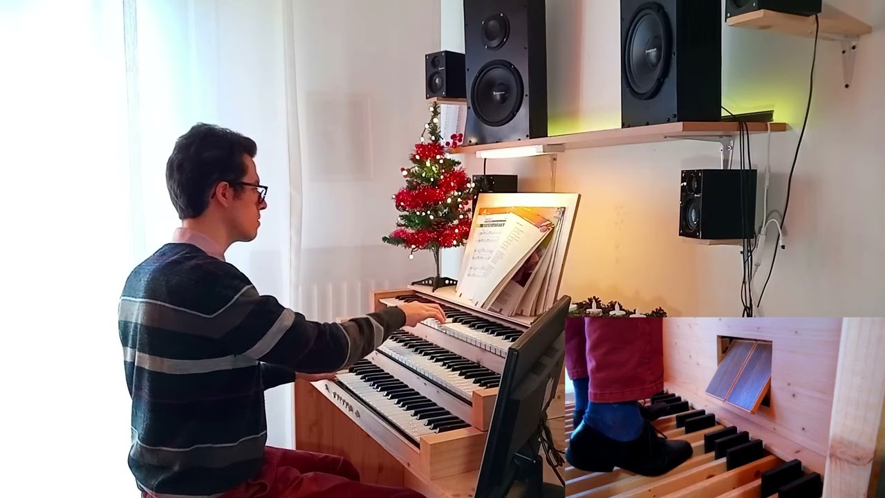 Astro del ciel Organo Alessandria (Software Hauptwerk) Marco Natale