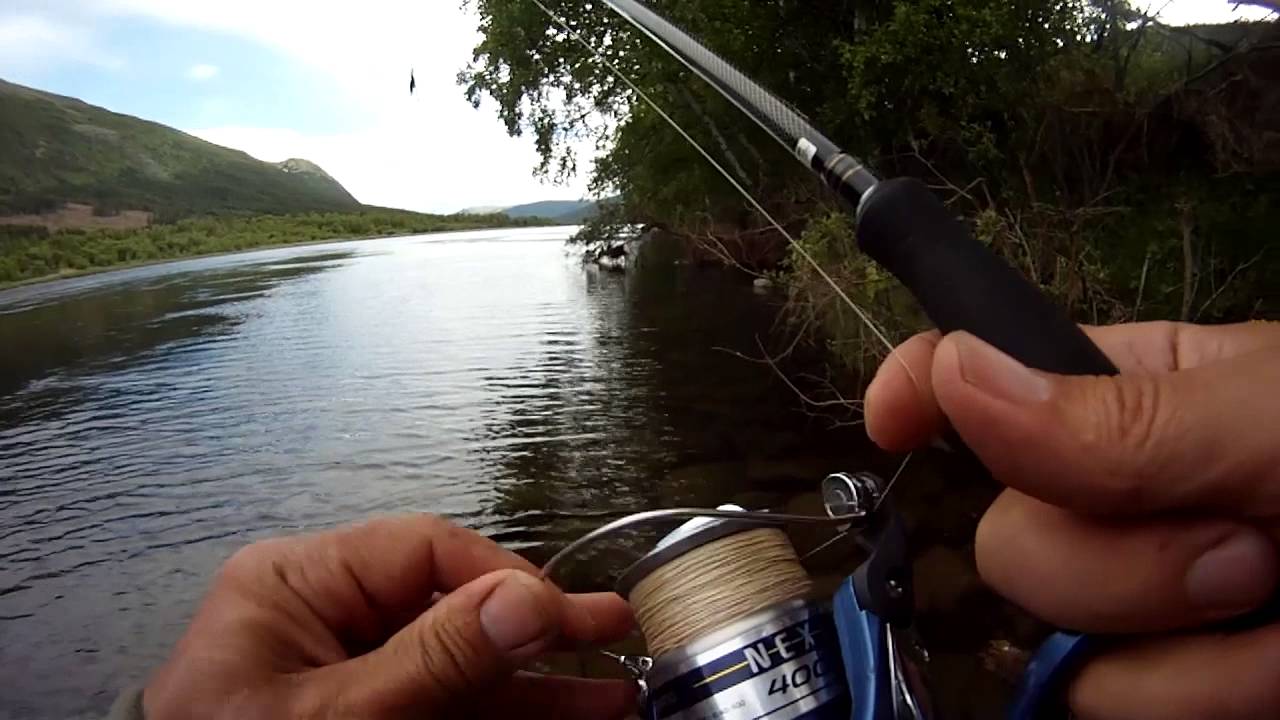 Pike fishing in Glomma river Norway