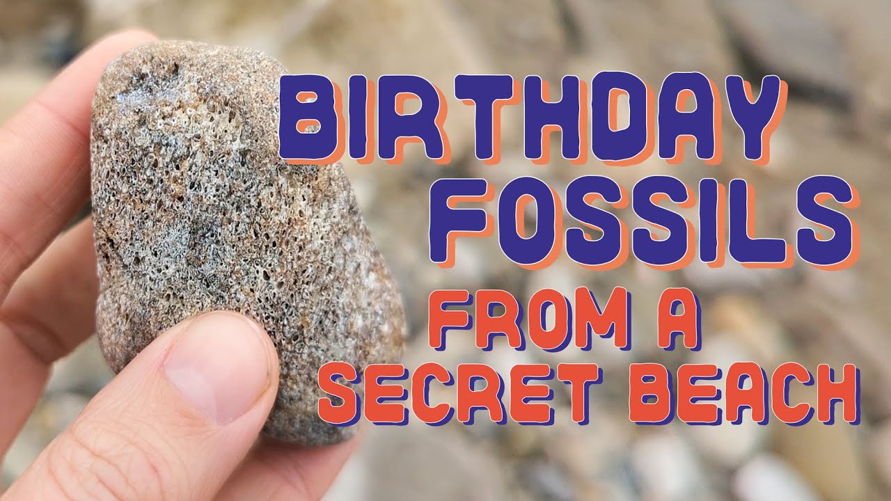 A Special Birthday Hunt: Exploring a Secret Beach in California for Fossils, Shells, and Agates!