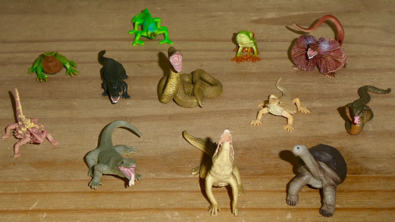 65. Collecta Mini Reptiles Review