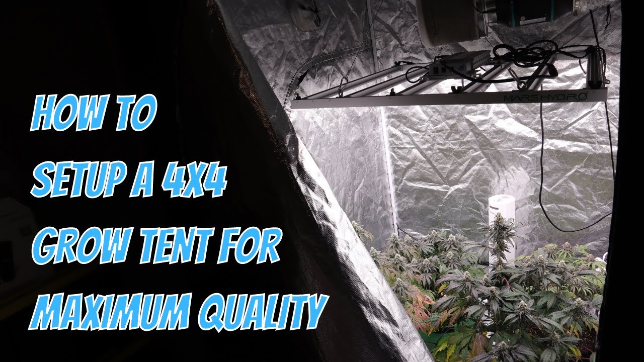 COMPLETE 4x4 GROW TENT SETUP 2023
