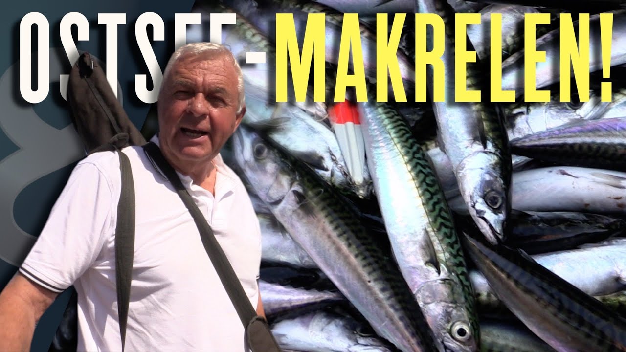 Mit Horst auf Ostsee-Makrelen!