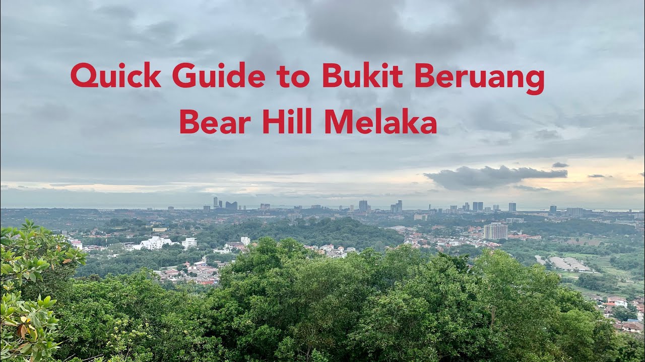 Bukit Beruang -Bear Hill