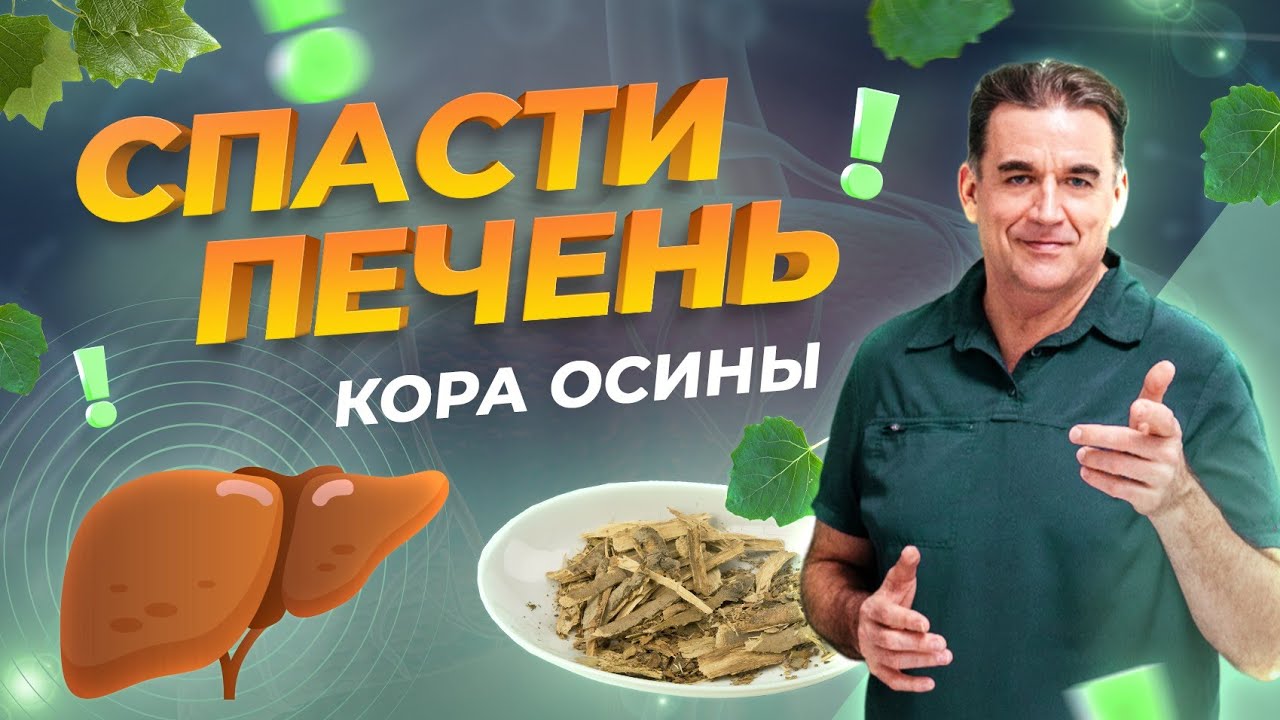 КОРА ОСИНЫ лучшее лекарство для очищения и восстановления печени Натуральный ГЕПАТОПРОТЕКТОР