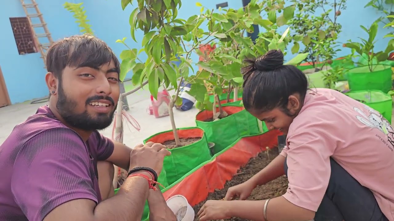 The EASIEST Way to Grow MASSIVE Tomatoes at Home